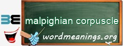 WordMeaning blackboard for malpighian corpuscle